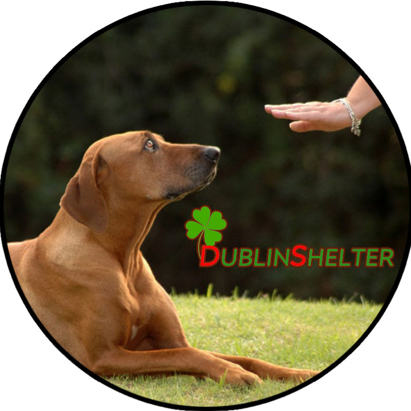 Dublin Shelter 