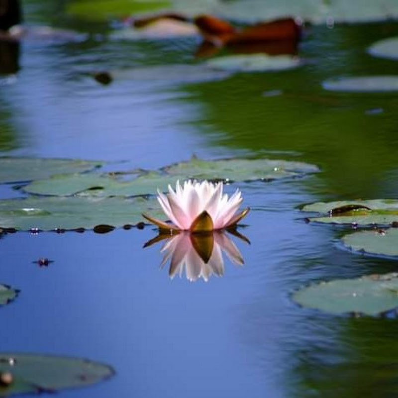 M2K YouTube's Channel 