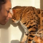 Sjefke & Bruzer & us