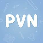 PVN Shoes