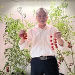 Koraygrowlight