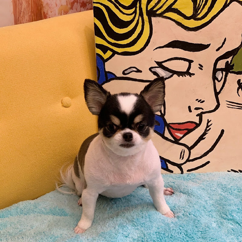 우리동네 일찐 밍키