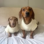 ʜᴏɴᴇʏ🩷, ʙʀᴜɴᴏ🩵 ᴀɴᴅ ɢʀᴀᴄɪᴇ (👩🏽)