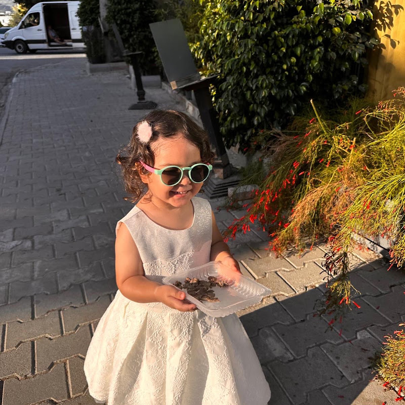 Zeynep Vlog