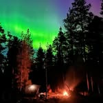 🇫🇮 ʜᴜɴᴛɪɴɢ ᴡɪᴛʜ ᴅᴏɢs | ғɪsʜɪɴɢ | ᴏᴜᴛᴅᴏᴏʀs