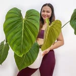 plantforthesoul