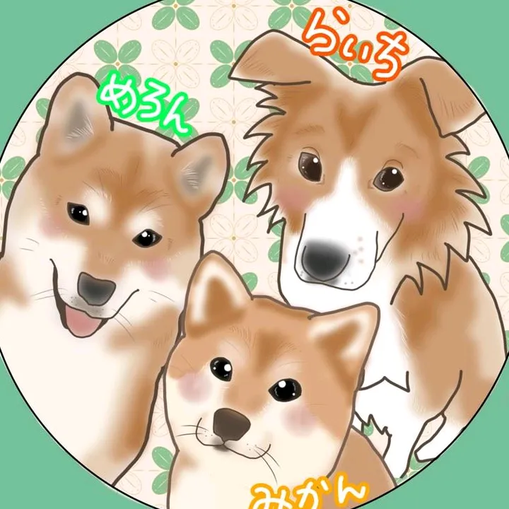 🌊🐒ミカン&メロン保護犬ライチ🍊🍈🐶