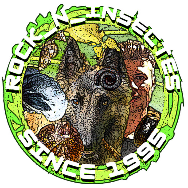 Rock_ n_insectes