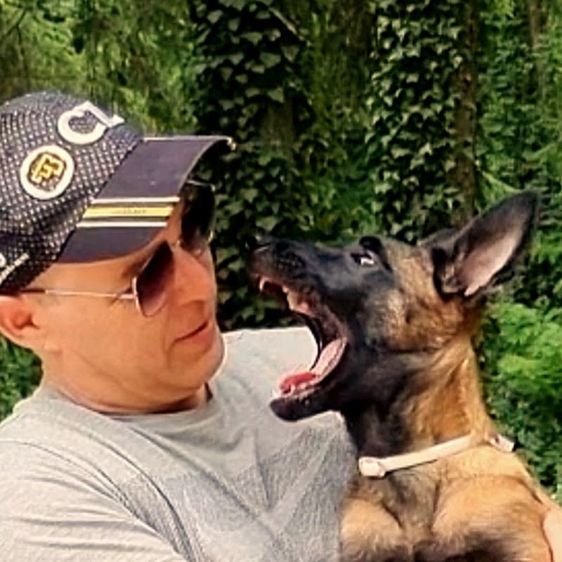Leben mit Malinois