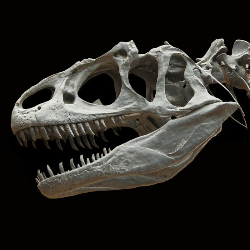 STEM Learning By Doing