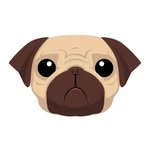 Pillow Pug