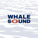 WHALESOUND | Nature, Science & Sailing