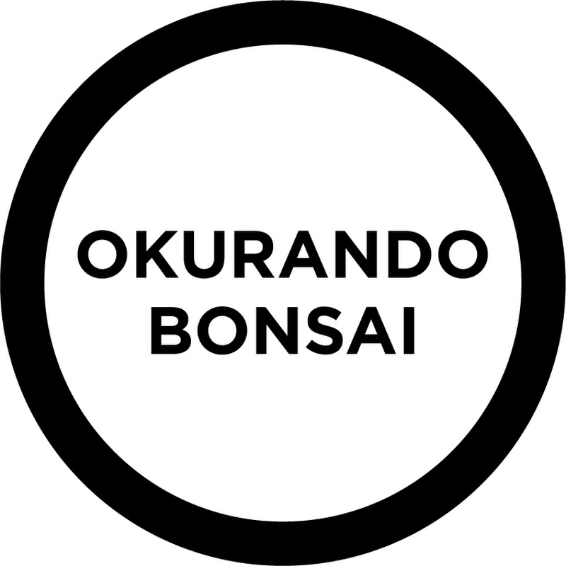 Okurando bonsai