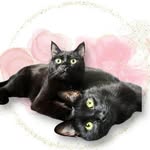 Pascal & Salem