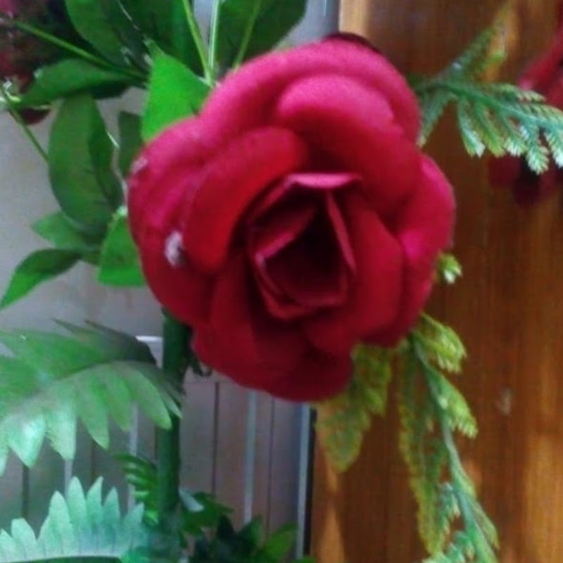 HW varieties Channel 