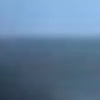 Edy