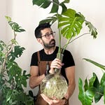 Adam Cotorceanu