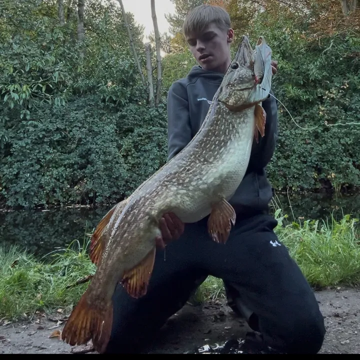 Roopydoopypoopyscoopy