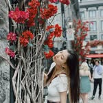 Darcy Wang