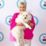 Molly Vegas | Brisbane | German Spitz