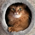 Simon🖤🤍| Bram💙| Harun🧡