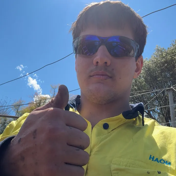 palmeros_electrical