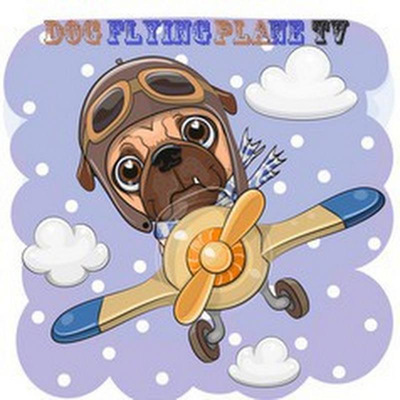 DOG FLYING PLANE TV