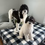 murphy ann & charley isabelle