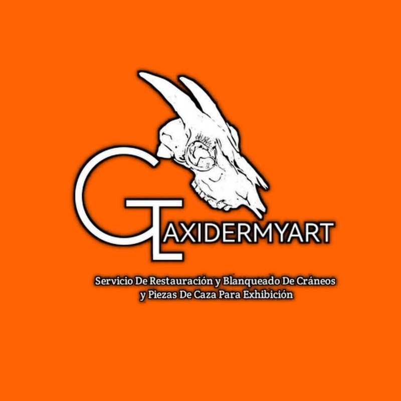 CzTaxidermyart