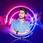 Muhammad Noman Ai
