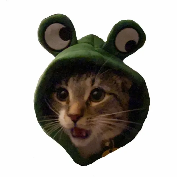 Zira