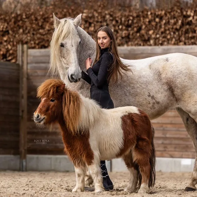 ourreal.horselife