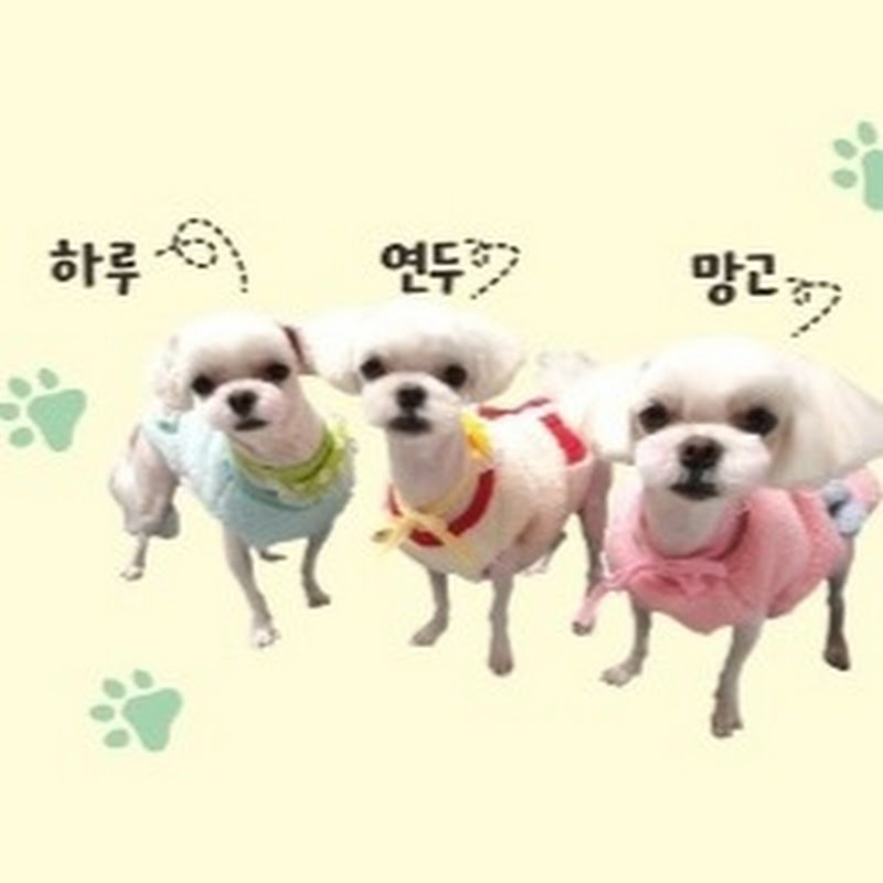 하망이네_Hamang's story