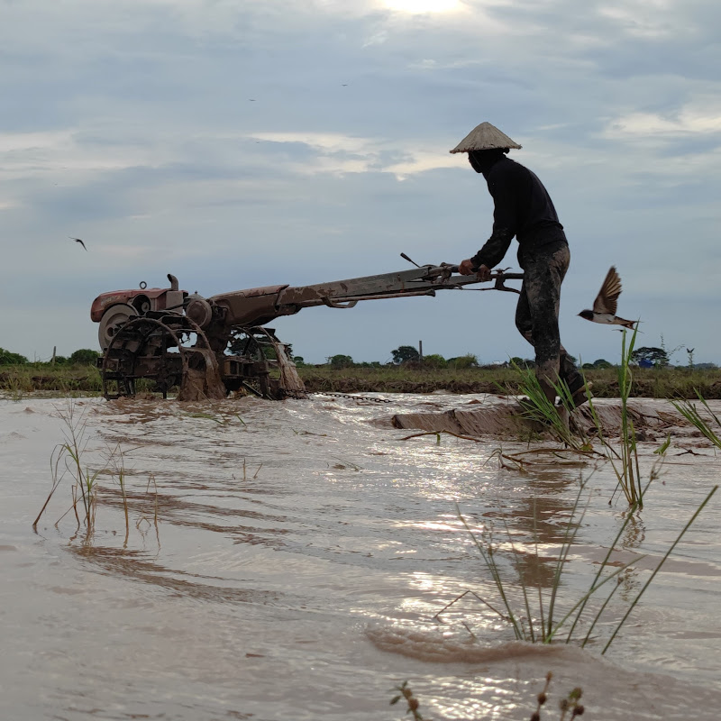 Cam Agriculture
