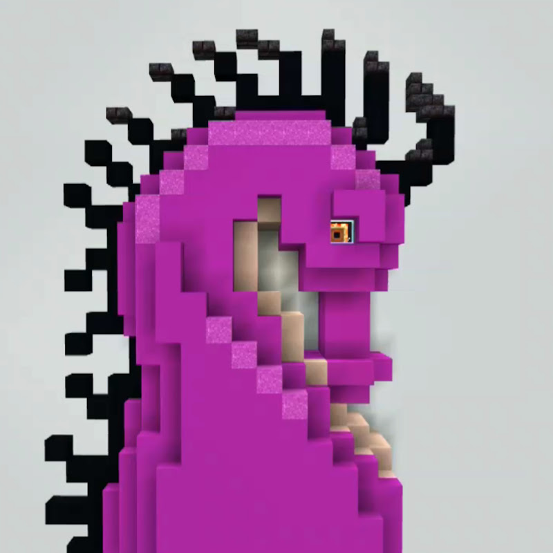 Nicole's Minecraft Creations