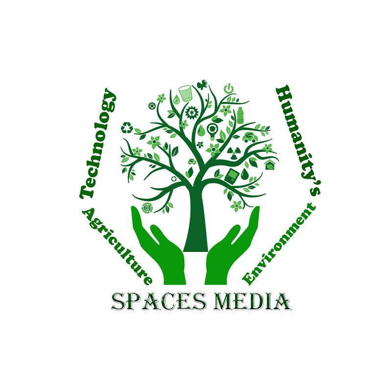 spaces media