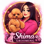 shima soltani
