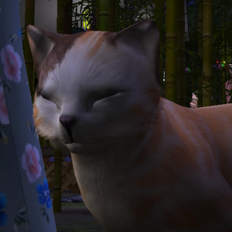 100simcats