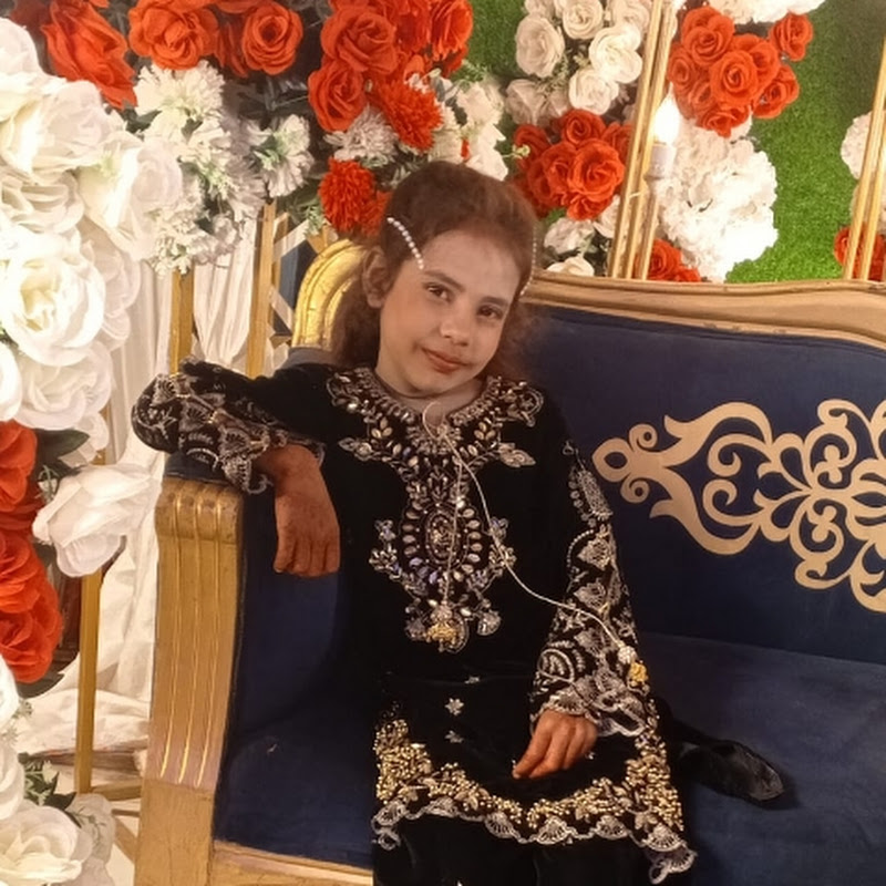 Kaneez Vlogs