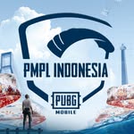 PUBG MOBILE ESPORTS ID