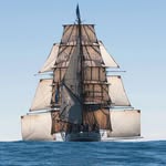 Bark EUROPA