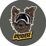 BYCRUISE