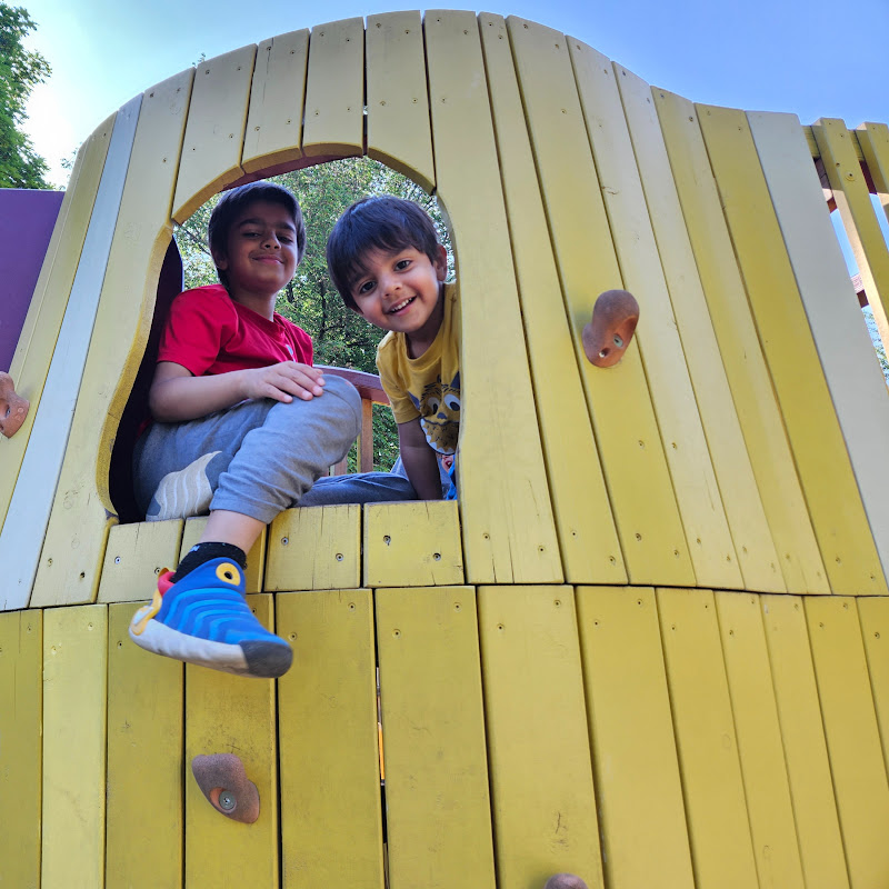 Taha Travels The World