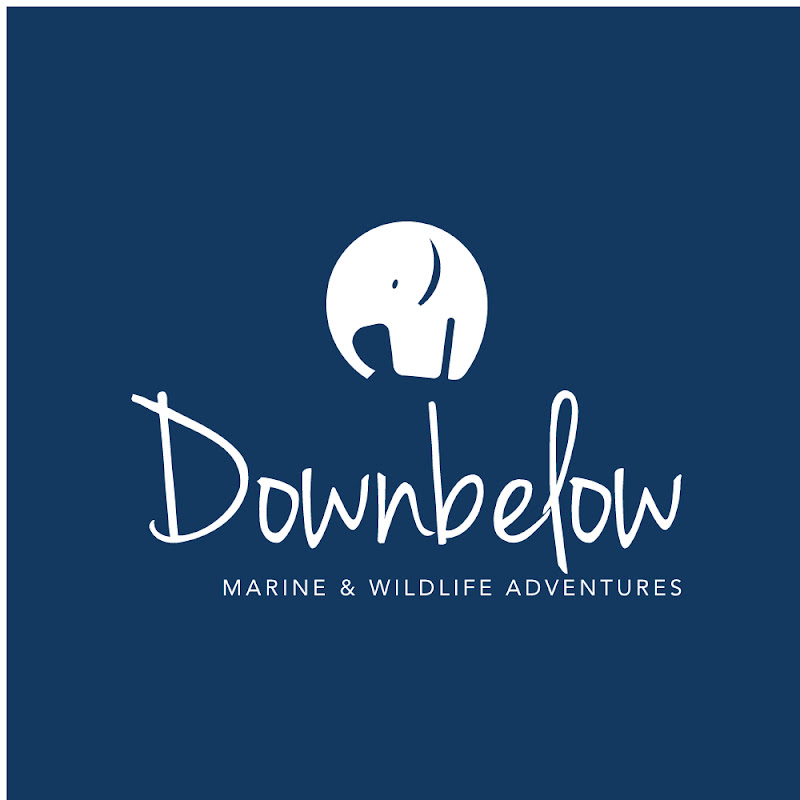 Downbelow Adventures