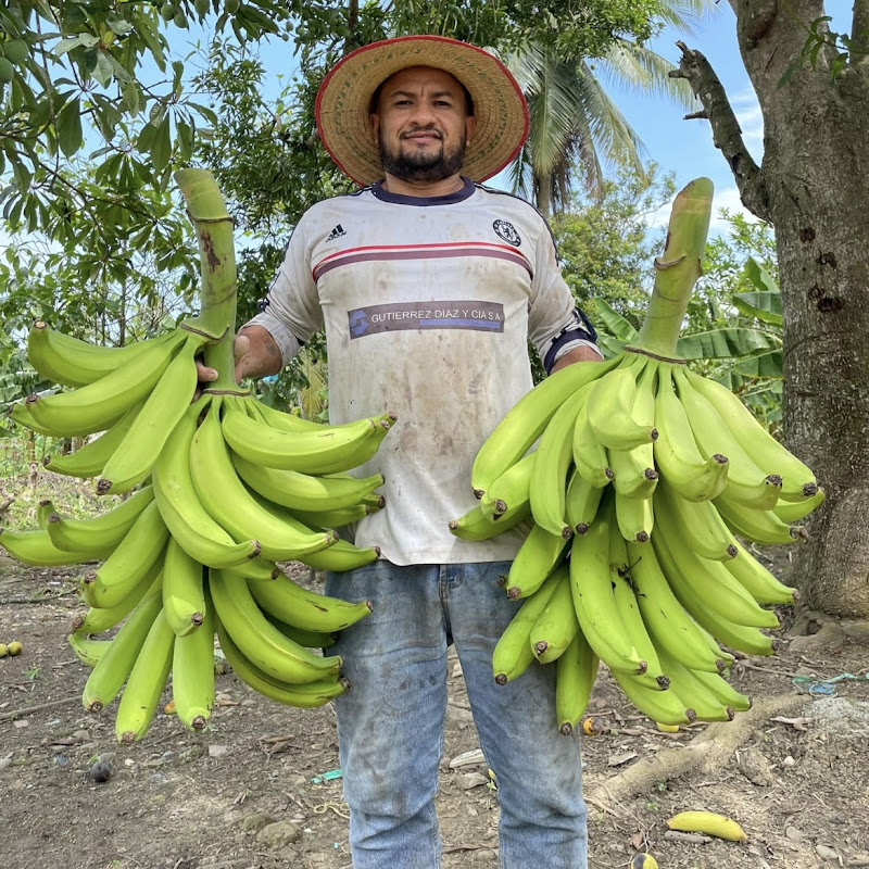 elfarucho