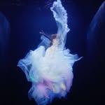 라이트러버 lightlover