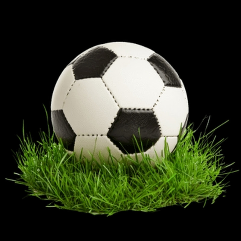 PES Yaşlı KURT