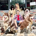 Wifidogsquad