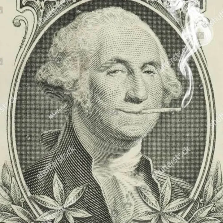 💰currency guy💰