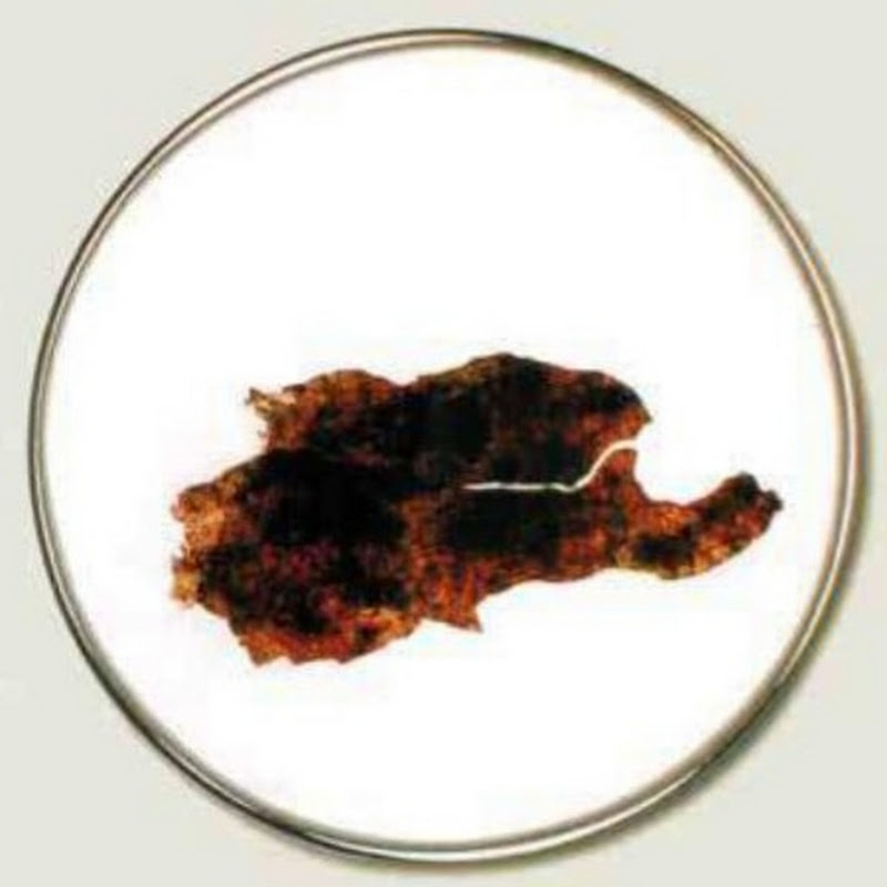 María Francesca Kolbe